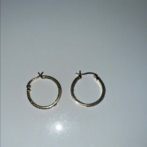 Elegant Gold Hoop Earrings